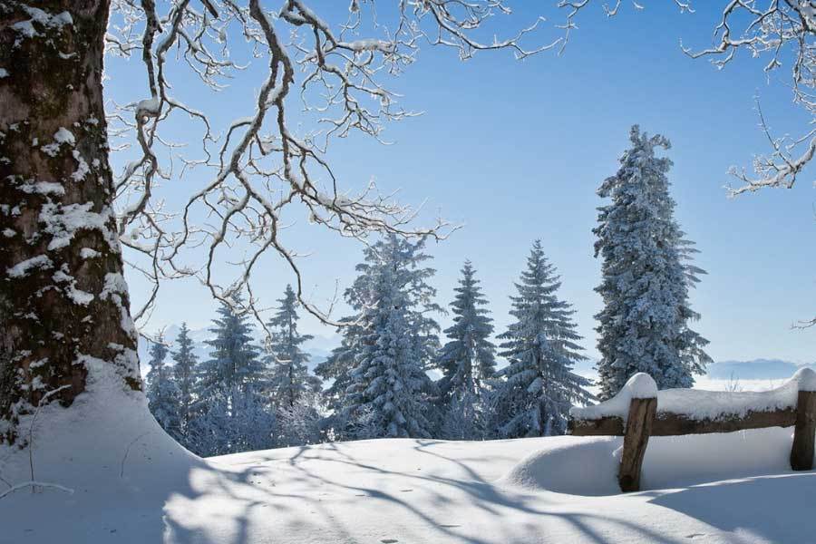 专业体系破, 未来三年计, 资源下沉 专业体系破, 未来三年计, 资源下沉